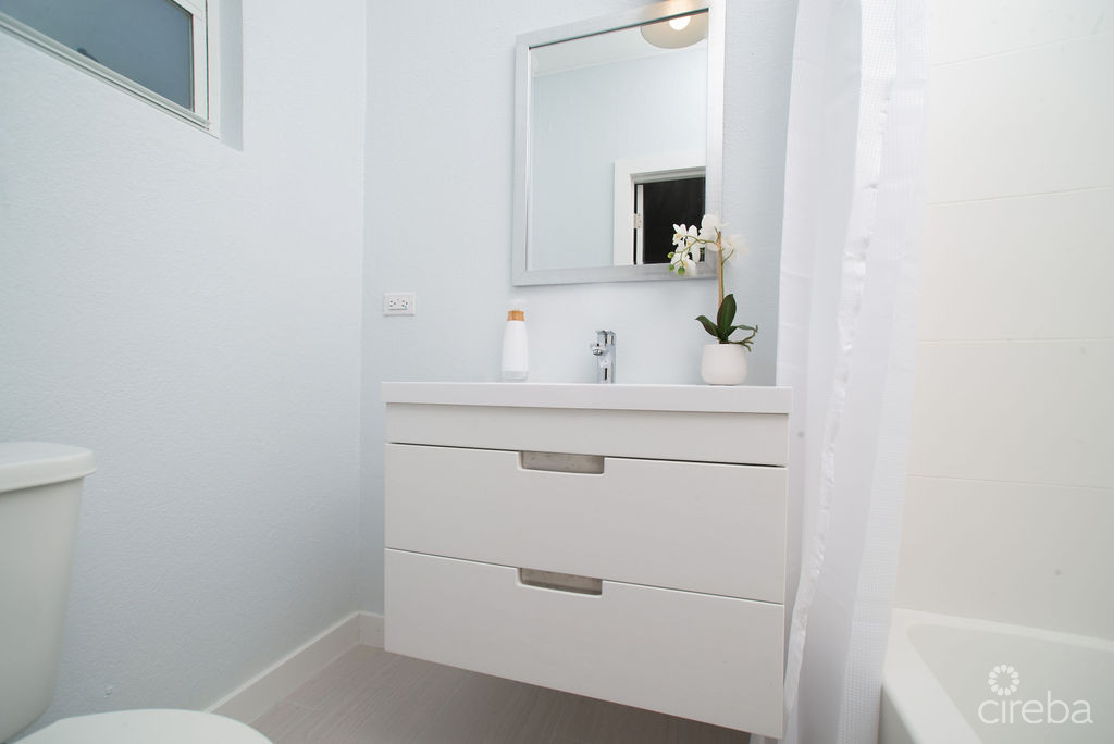 BEAUTIFULLY RENOVATED 3BED HOME WITH DEN + INCOME PRODUCING 1 BED APARTMENT