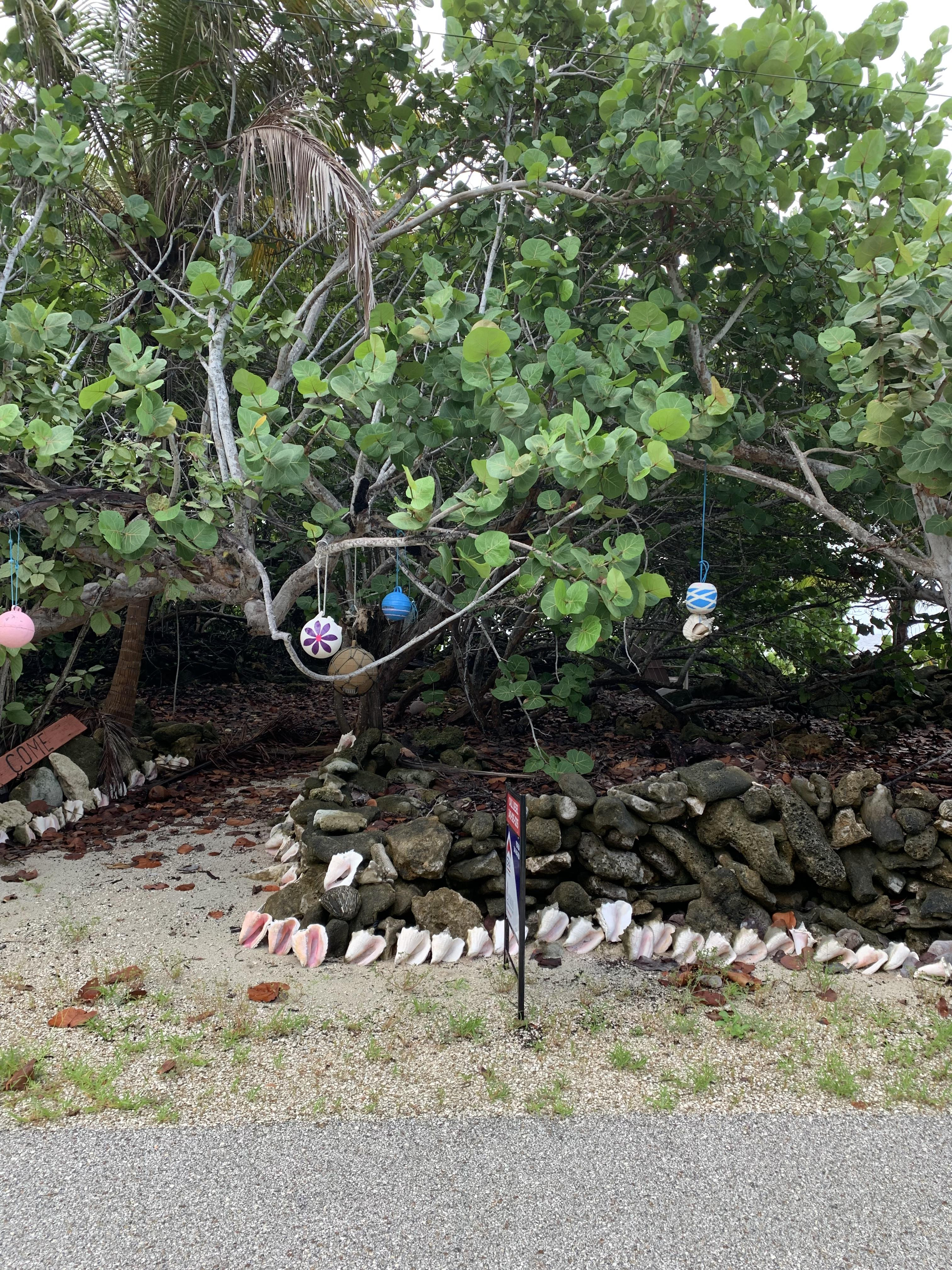 SOON COME – SOUTH SIDE EAST OCEAN FRONT LAND