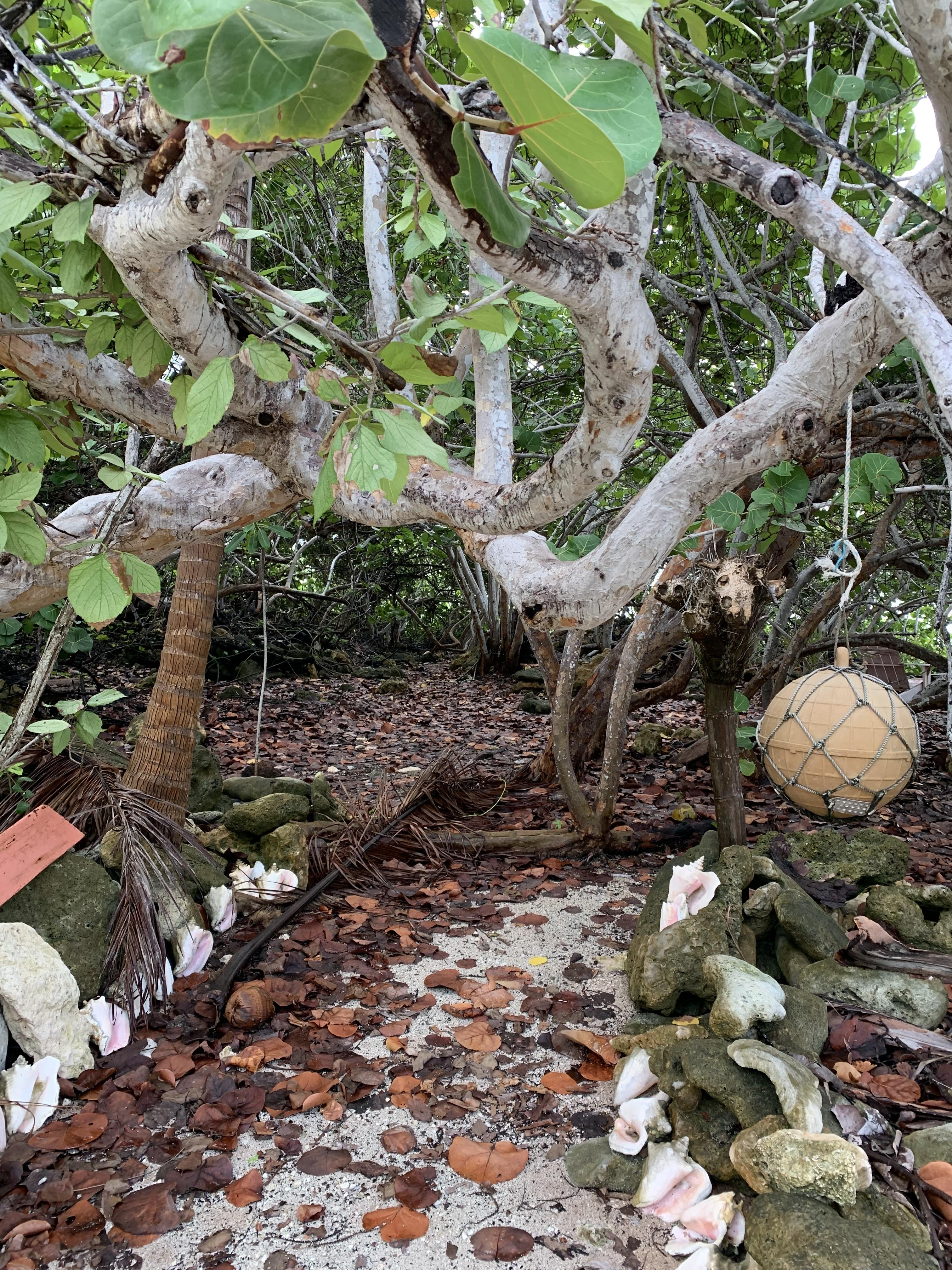 SOON COME – SOUTH SIDE EAST OCEAN FRONT LAND