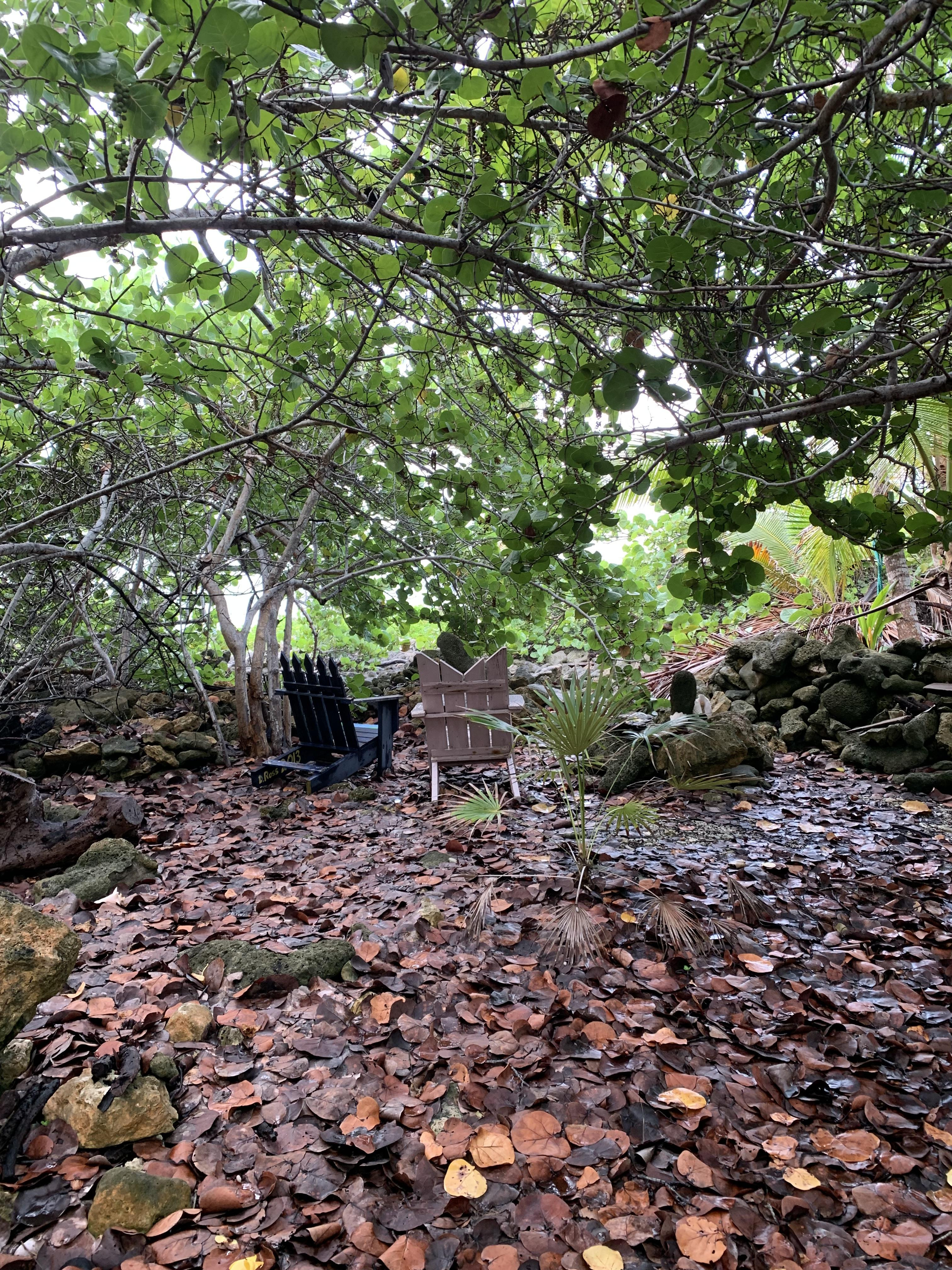 SOON COME – SOUTH SIDE EAST OCEAN FRONT LAND