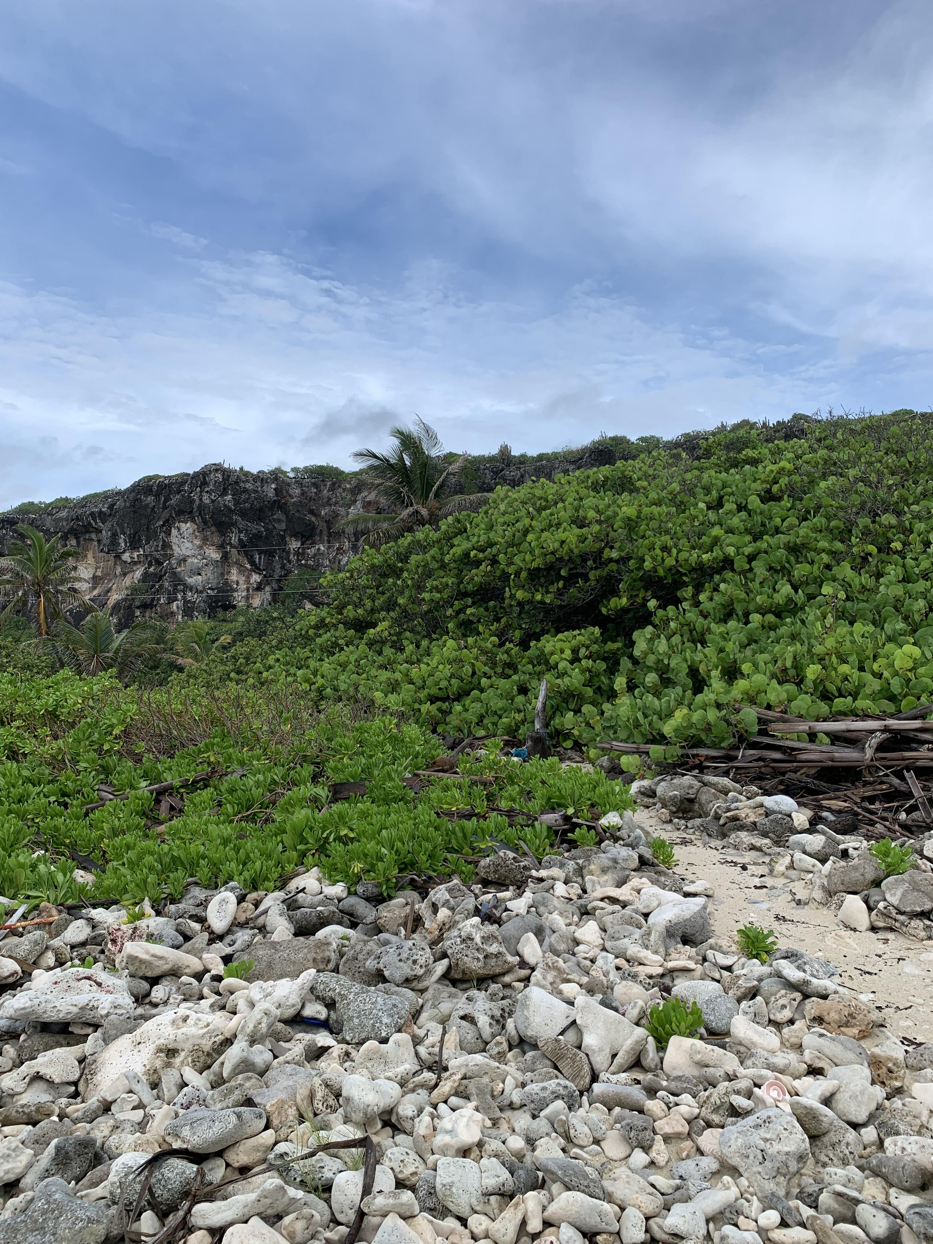SOON COME – SOUTH SIDE EAST OCEAN FRONT LAND