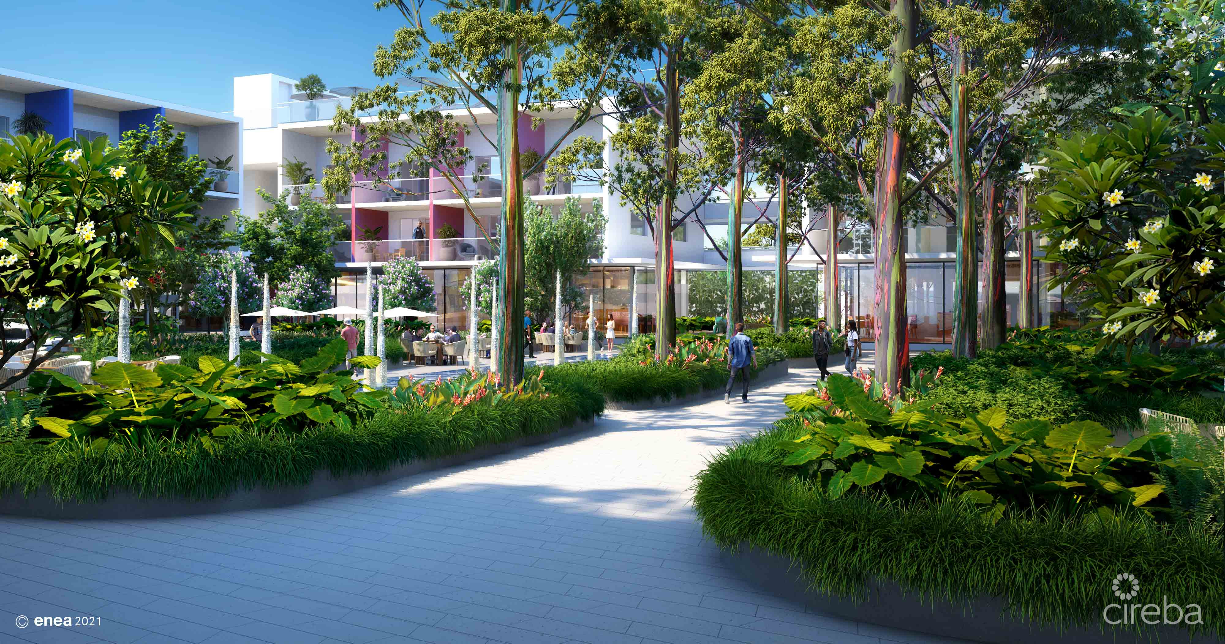 THE GROVE TOO – 1 BED PENTHOUSE