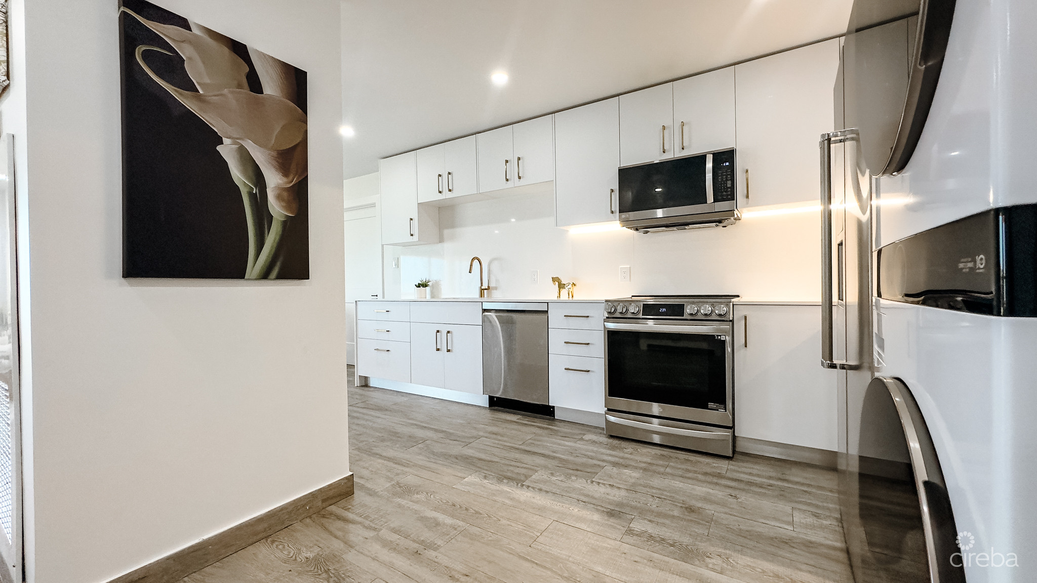 GRAND CAYMANIAN PENTHOUSE – CRYSTAL HARBOUR