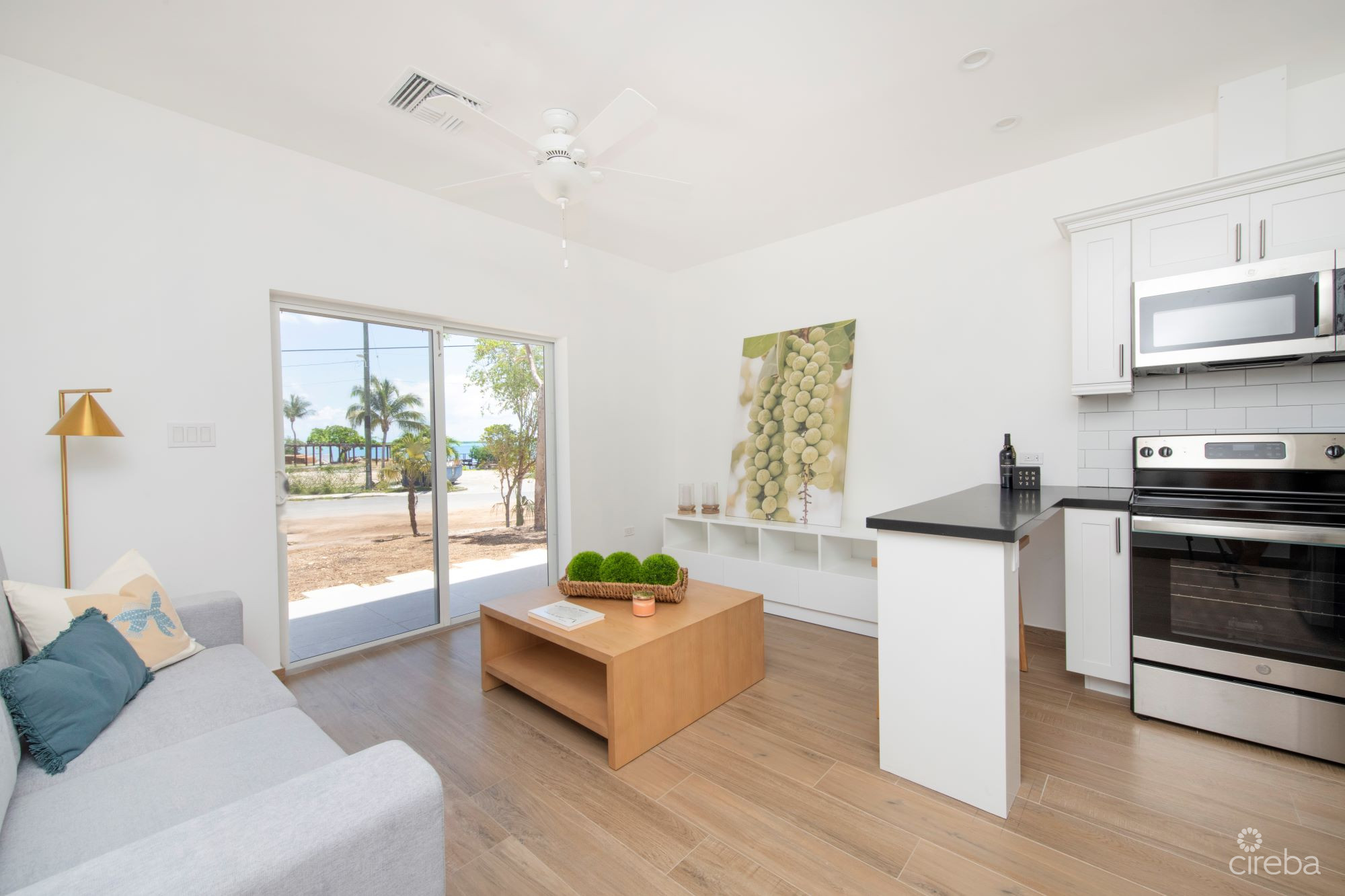 SEA MIST CONDOS  UNIT102 – DEVELOPER FINANCING