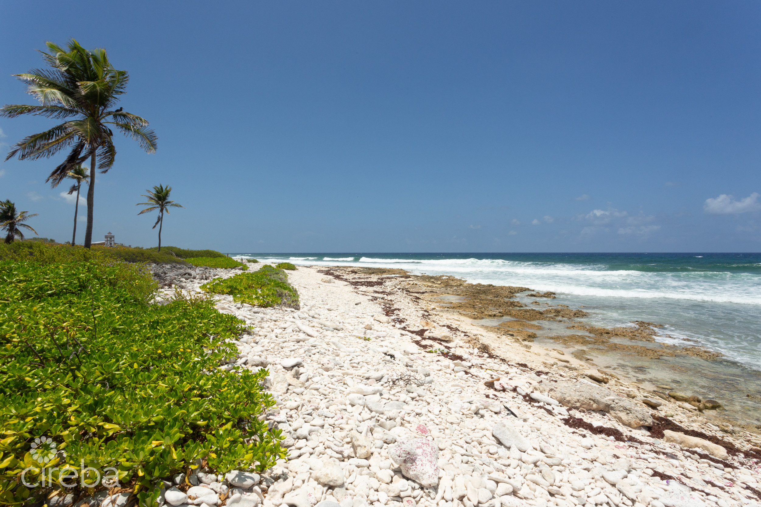 SOUTH SIDE BLUFF BACKING LAND