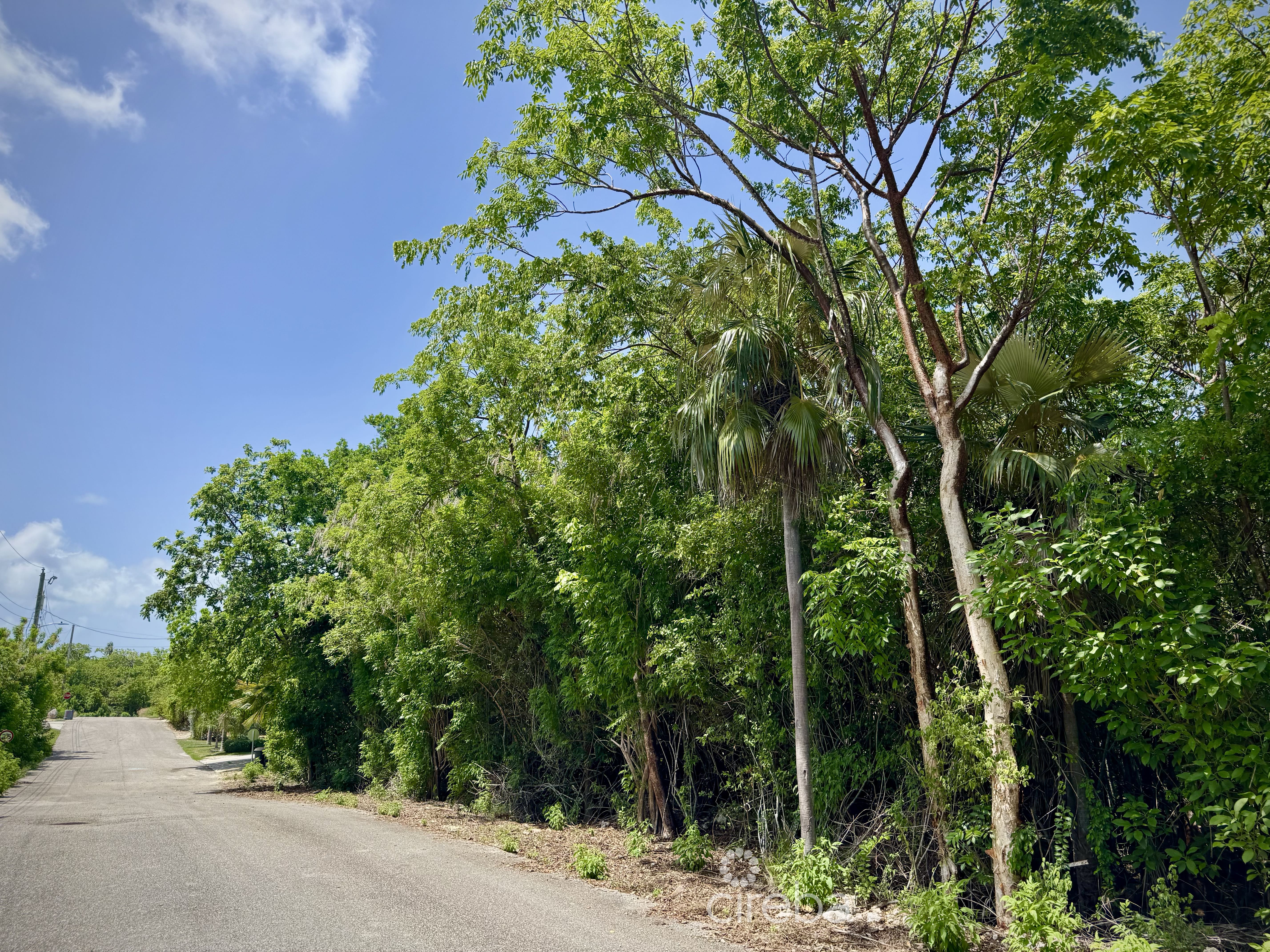 OVERSIZED LOT – BEACH BAY – NATURE’S CIRCLE