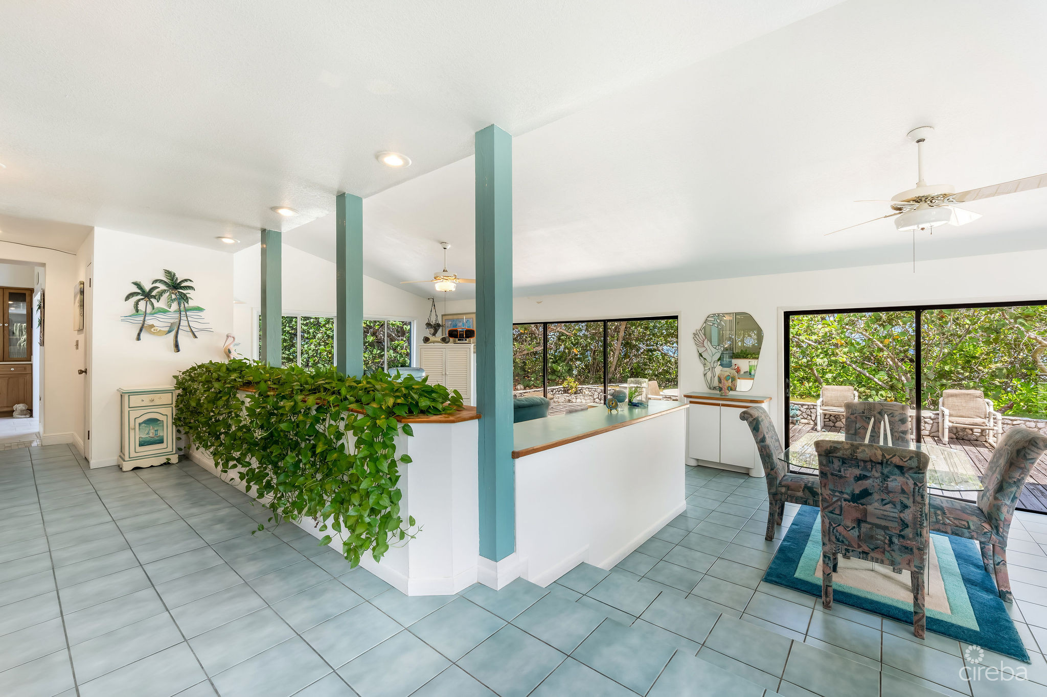 541 OLD ROBIN ROAD