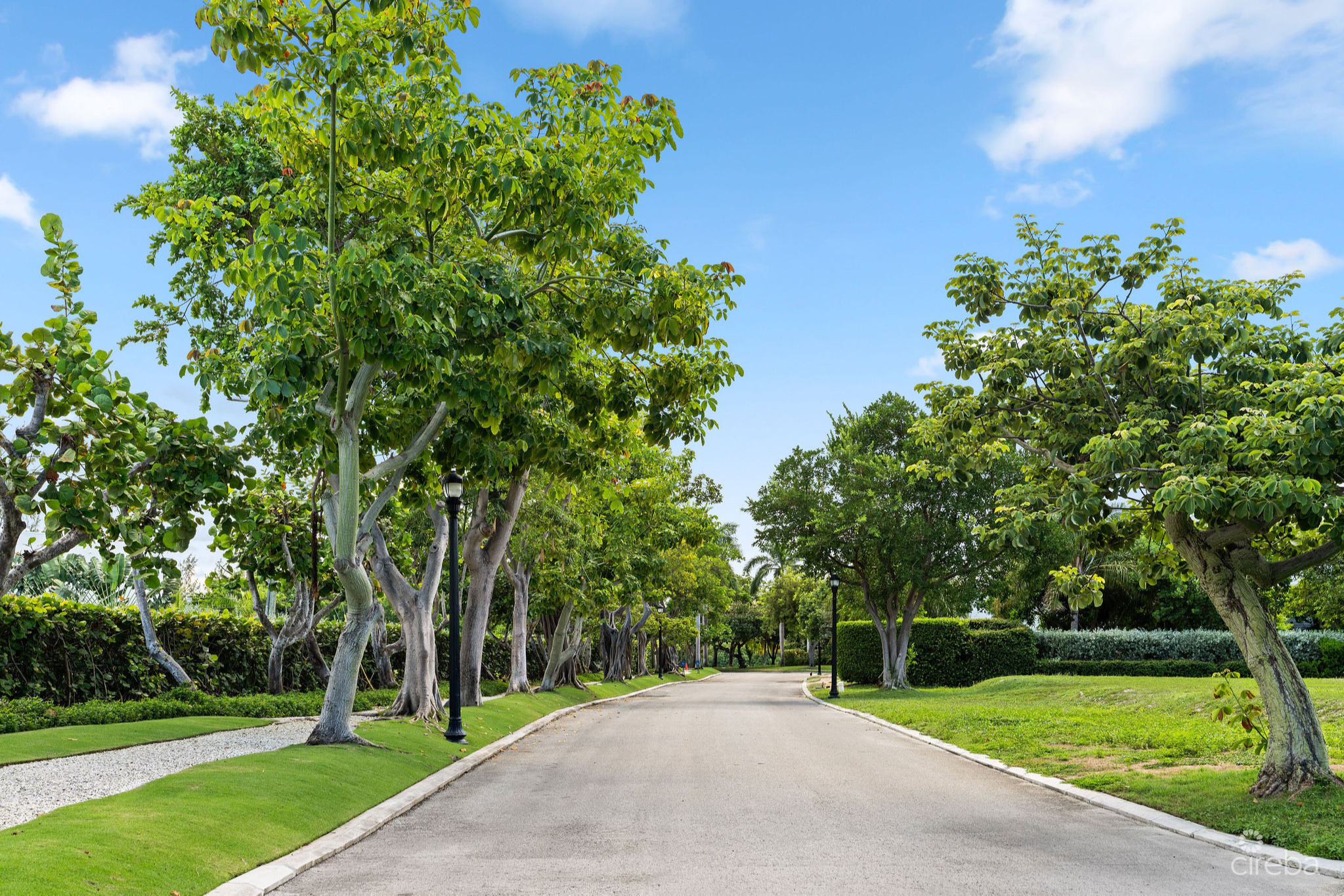 SALT CREEK HOME