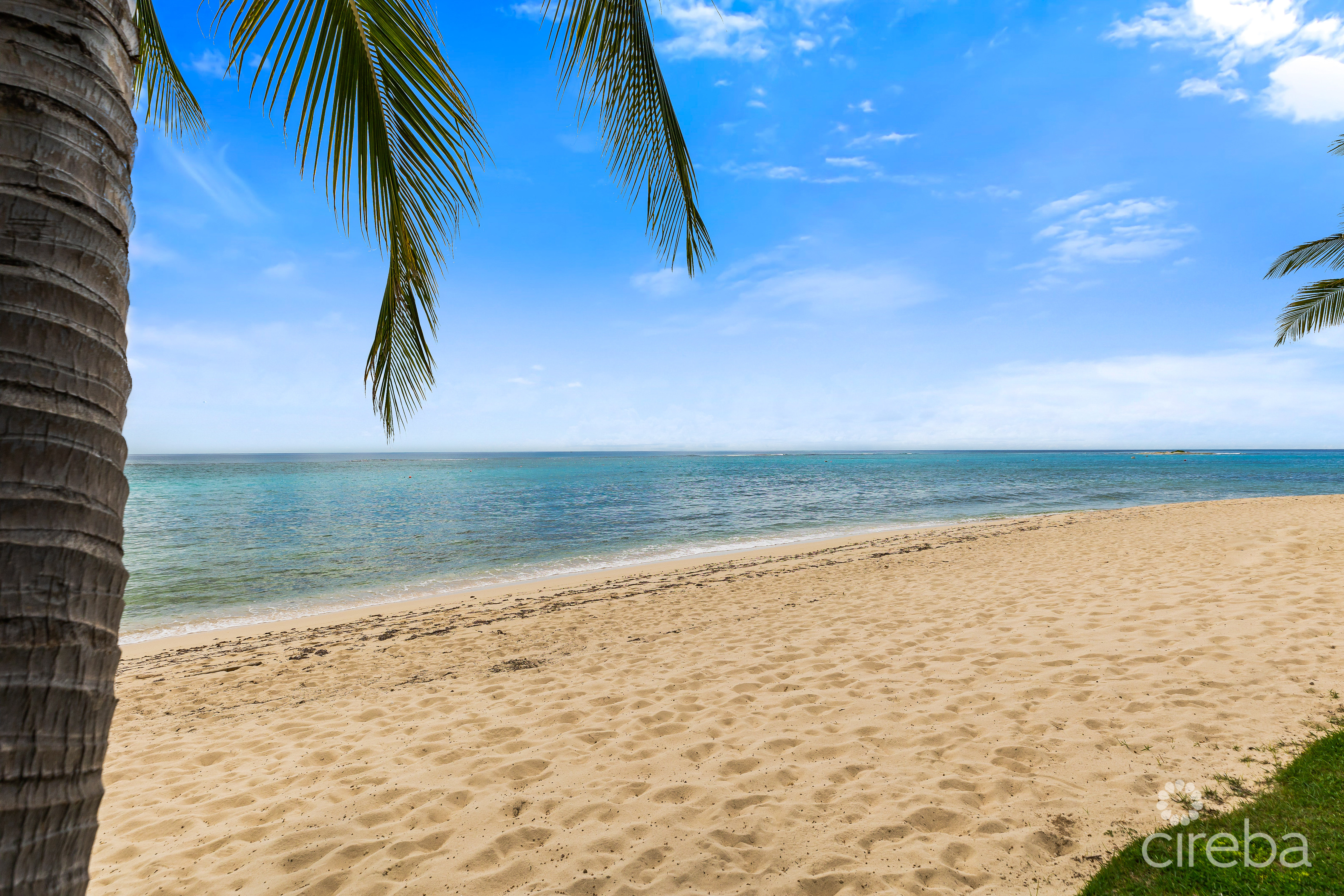 TIDES –  BEACHFRONT, LUXURY 4 BEDROOM CONDO WITH TERRACE