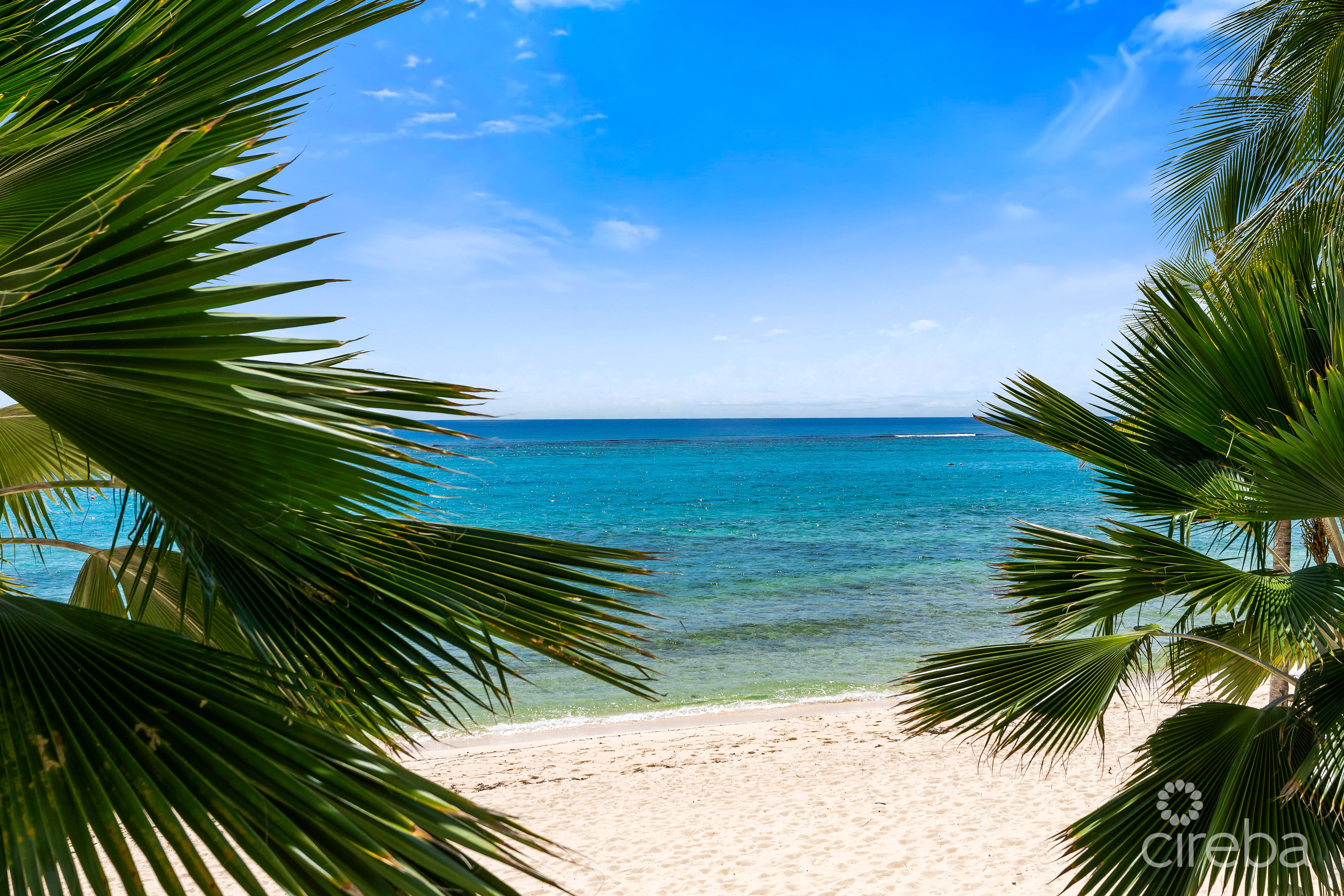 TIDES –  BEACHFRONT, LUXURY 4 BEDROOM CONDO WITH TERRACE
