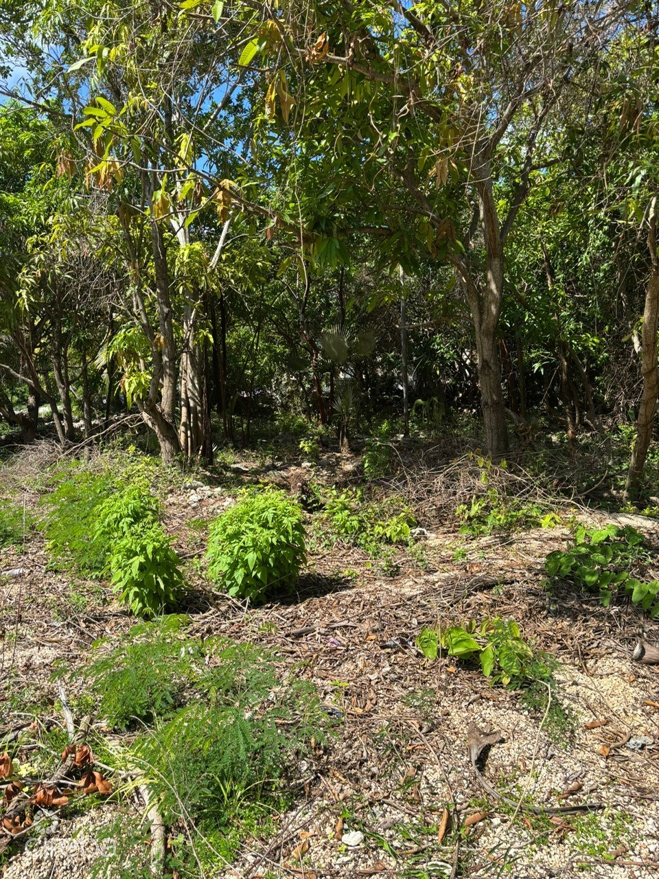 EXCEPTIONAL CORNER LOT IN PRIME CAYMAN BRAC LOCATION – READY TO BUILD