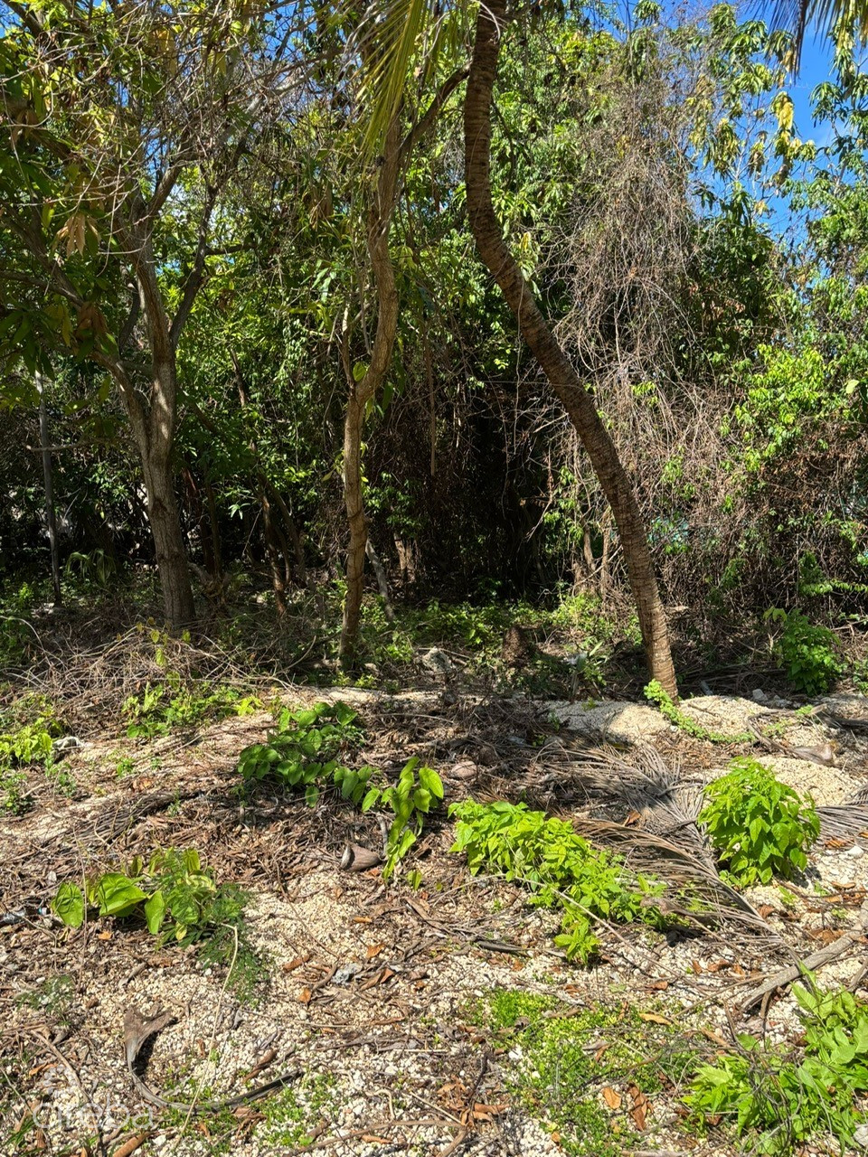 EXCEPTIONAL CORNER LOT IN PRIME CAYMAN BRAC LOCATION – READY TO BUILD
