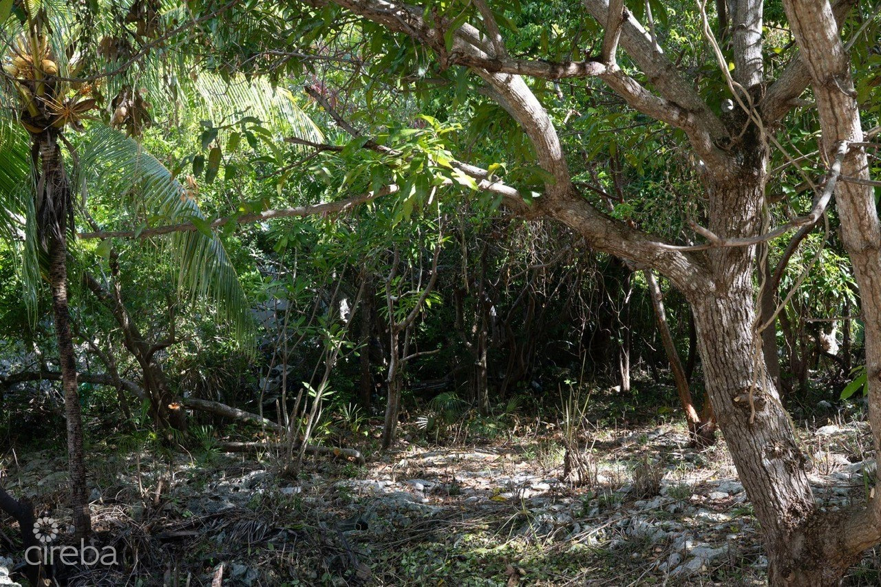EXCEPTIONAL CORNER LOT IN PRIME CAYMAN BRAC LOCATION – READY TO BUILD