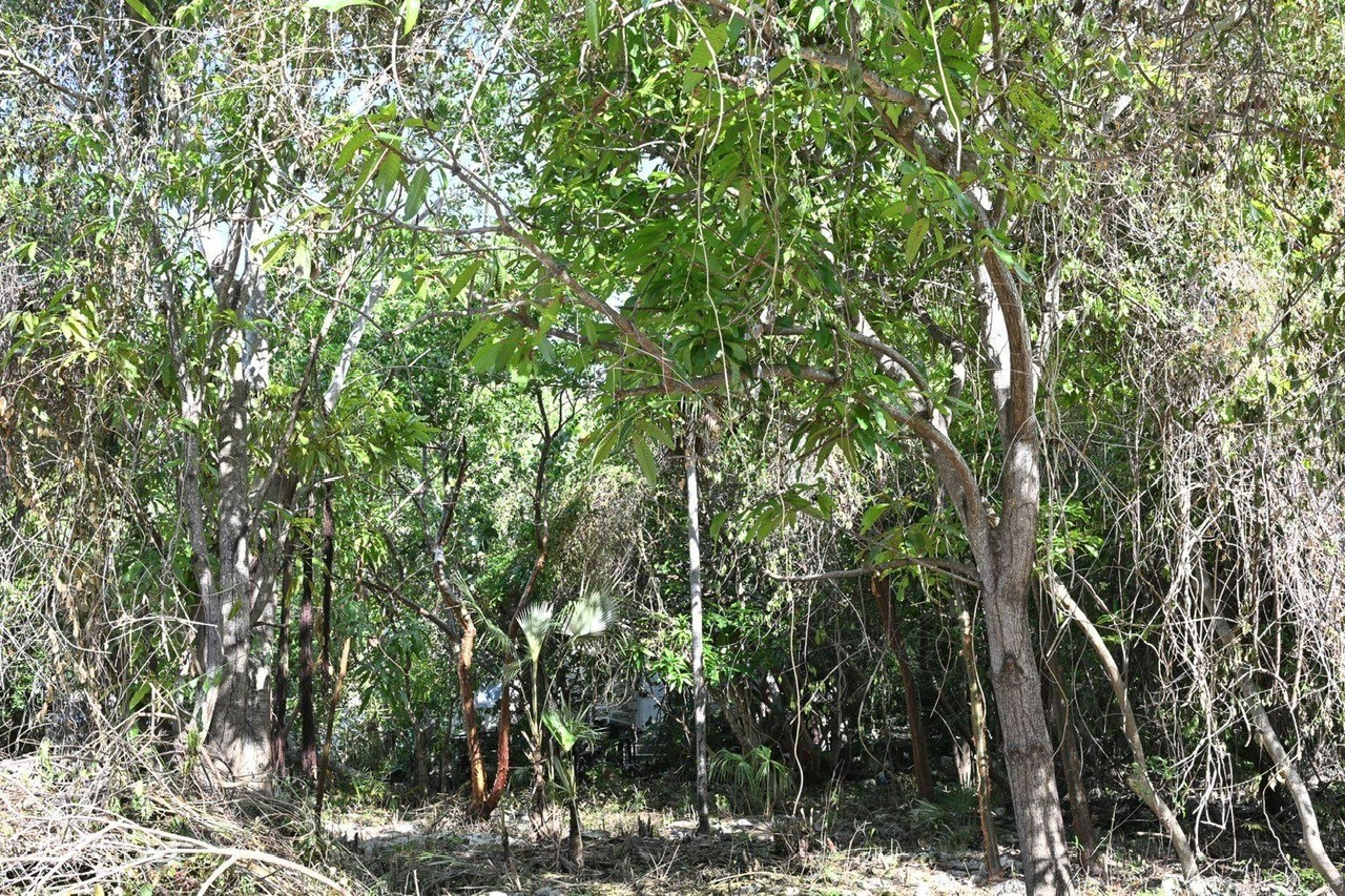 EXCEPTIONAL CORNER LOT IN PRIME CAYMAN BRAC LOCATION – READY TO BUILD