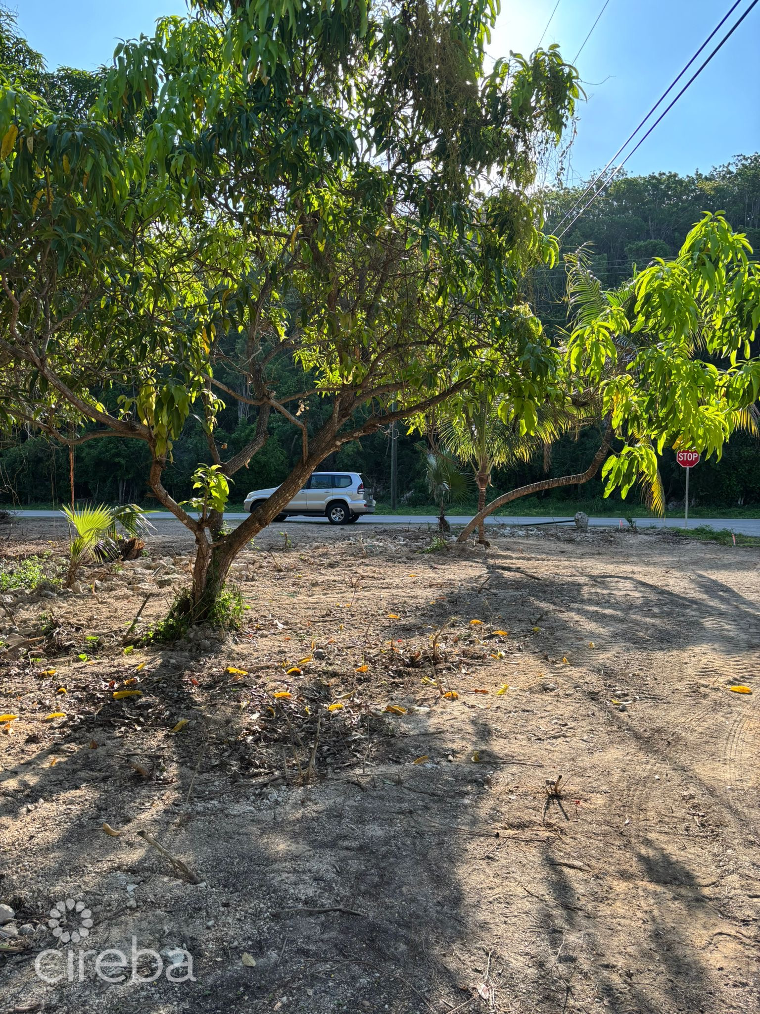 EXCEPTIONAL CORNER LOT IN PRIME CAYMAN BRAC LOCATION – READY TO BUILD