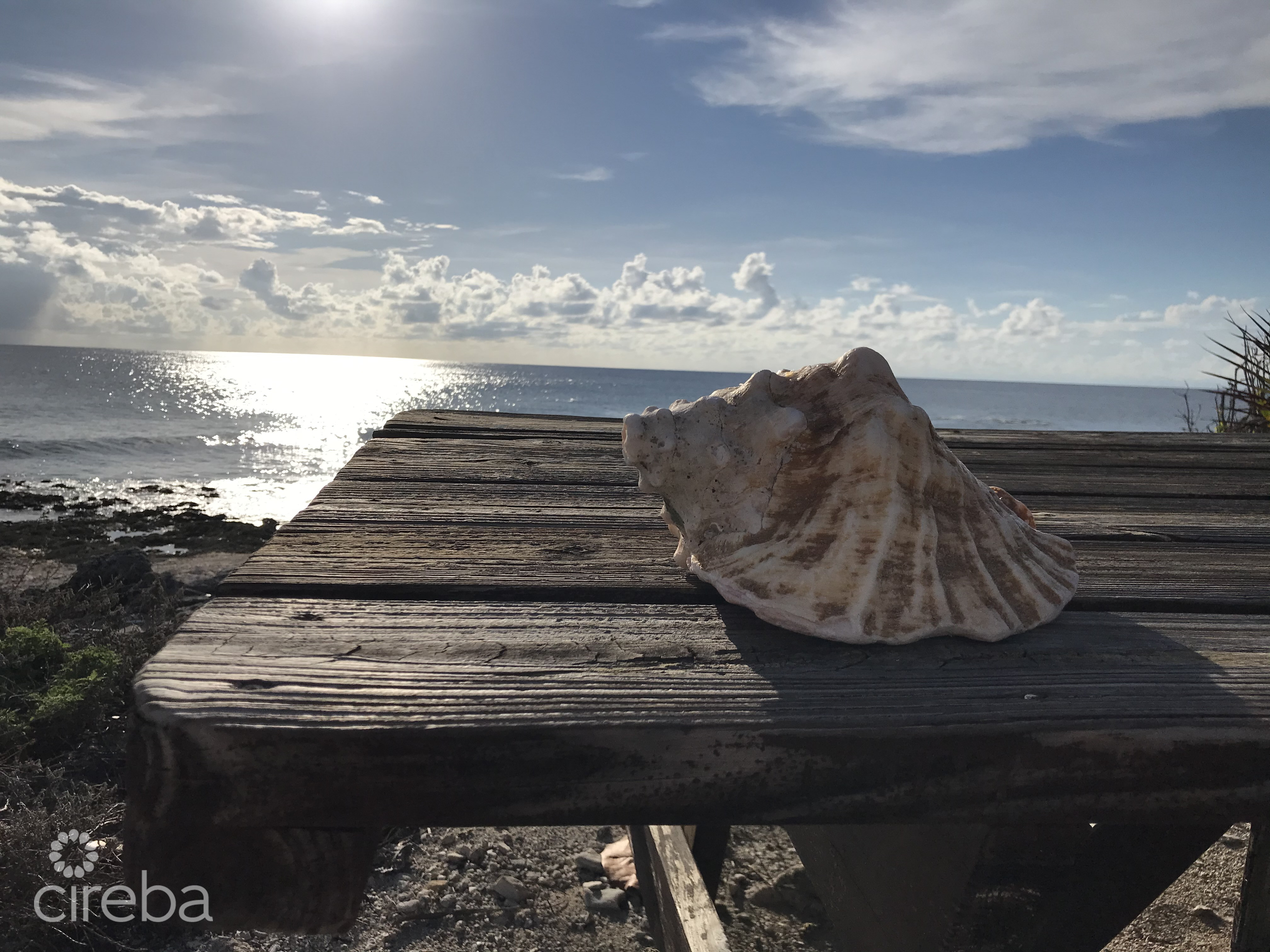 LITTLE CAYMAN LOT NEAR POINT OF SANDS