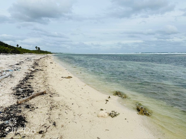 BEACHFRONT LAND LITTLE CAYMAN