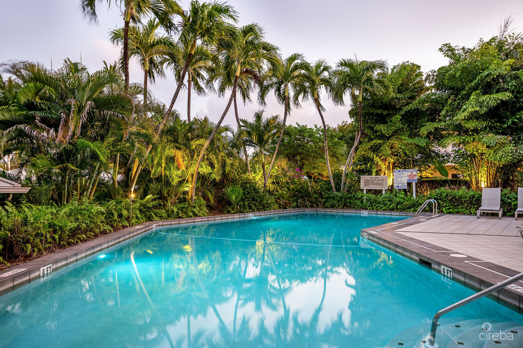 BEACHFRONT BLISS AT CAYMAN CLUB | SEVEN MILE BEACH