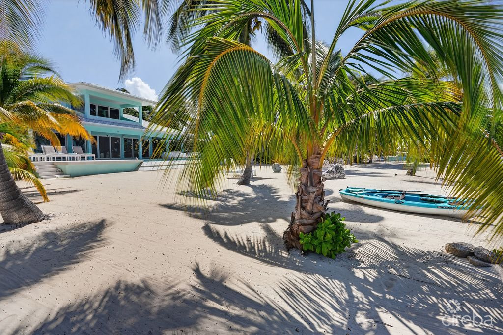 KOOL KAI, CAYMAN KAI