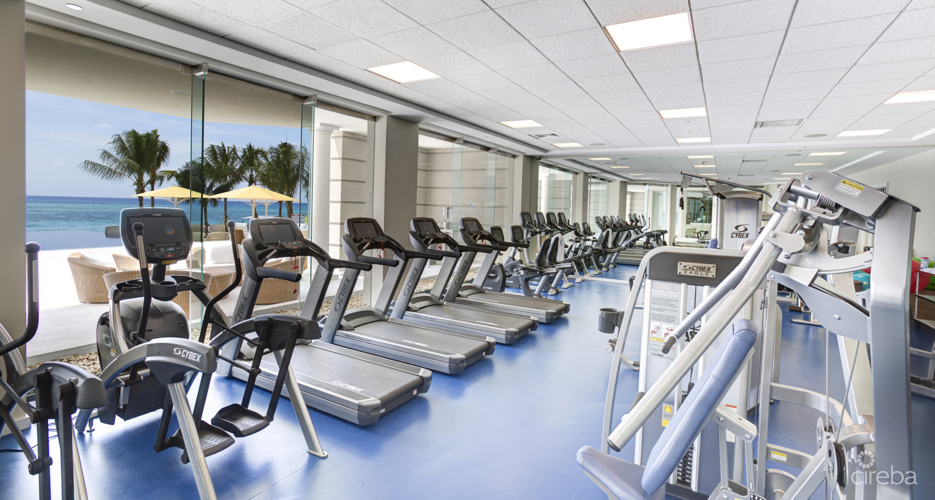 WATERCOLOURS – PRIME LOCATION