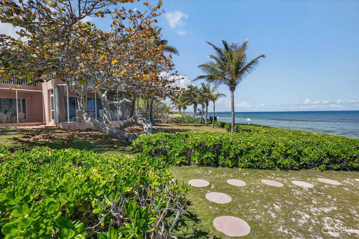 NORTHERN LIGHTS – END UNIT