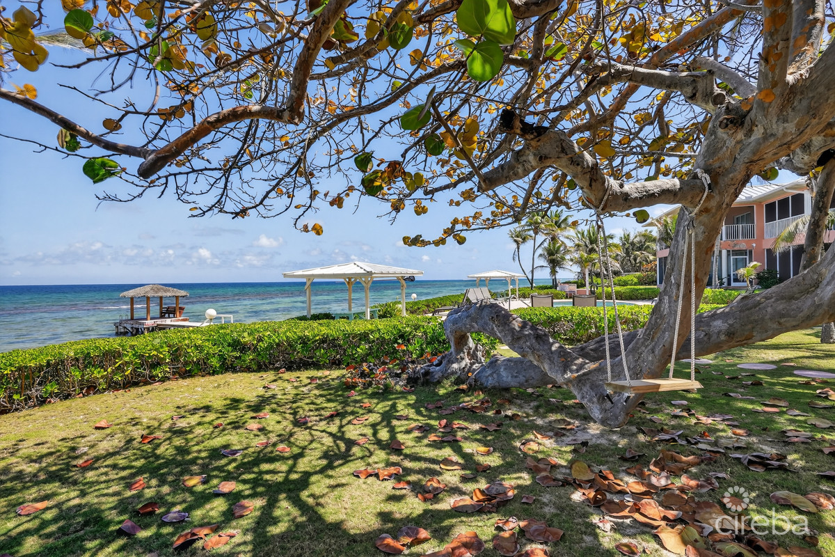 NORTHERN LIGHTS – END UNIT