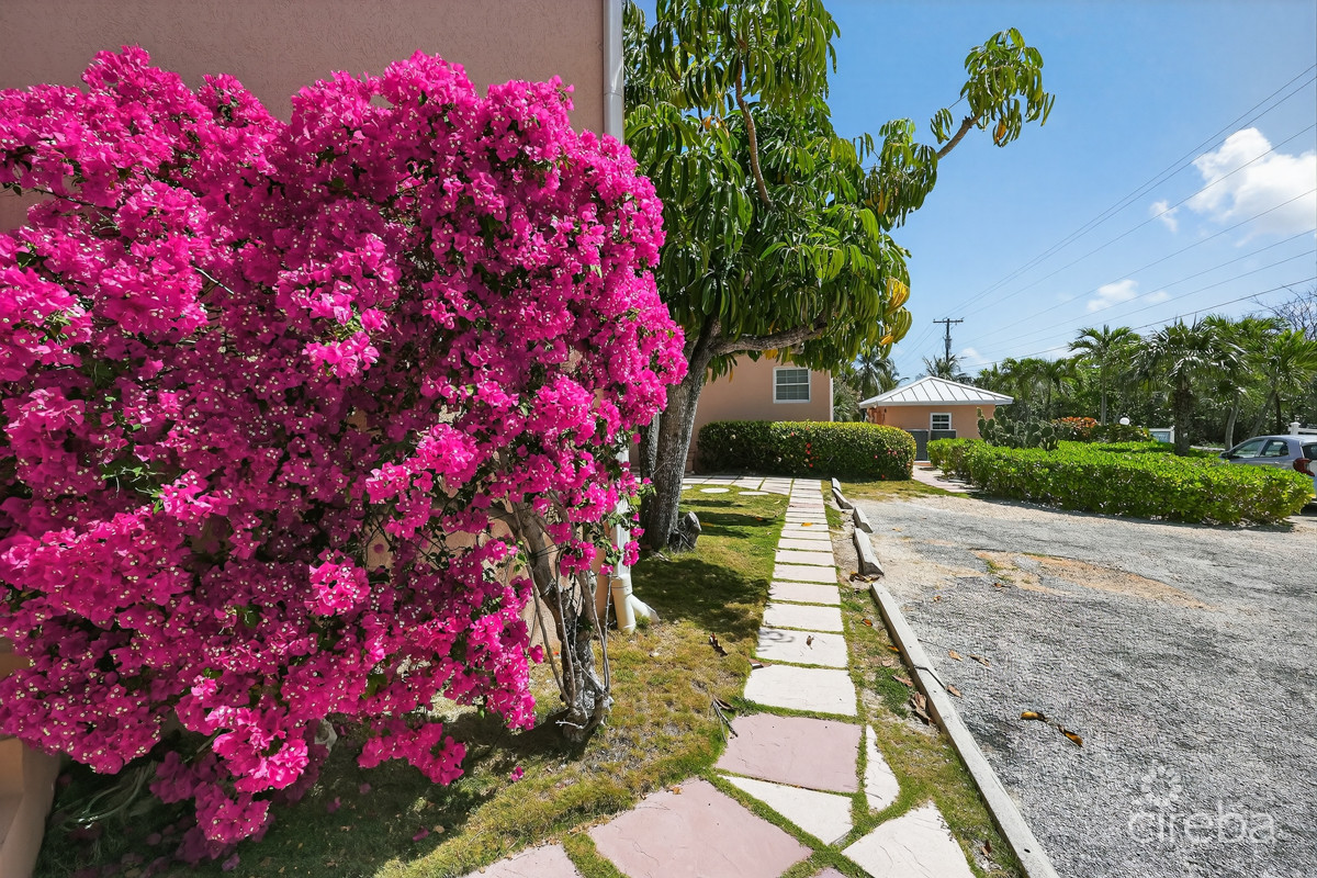 NORTHERN LIGHTS – END UNIT