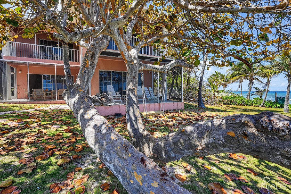 NORTHERN LIGHTS – END UNIT