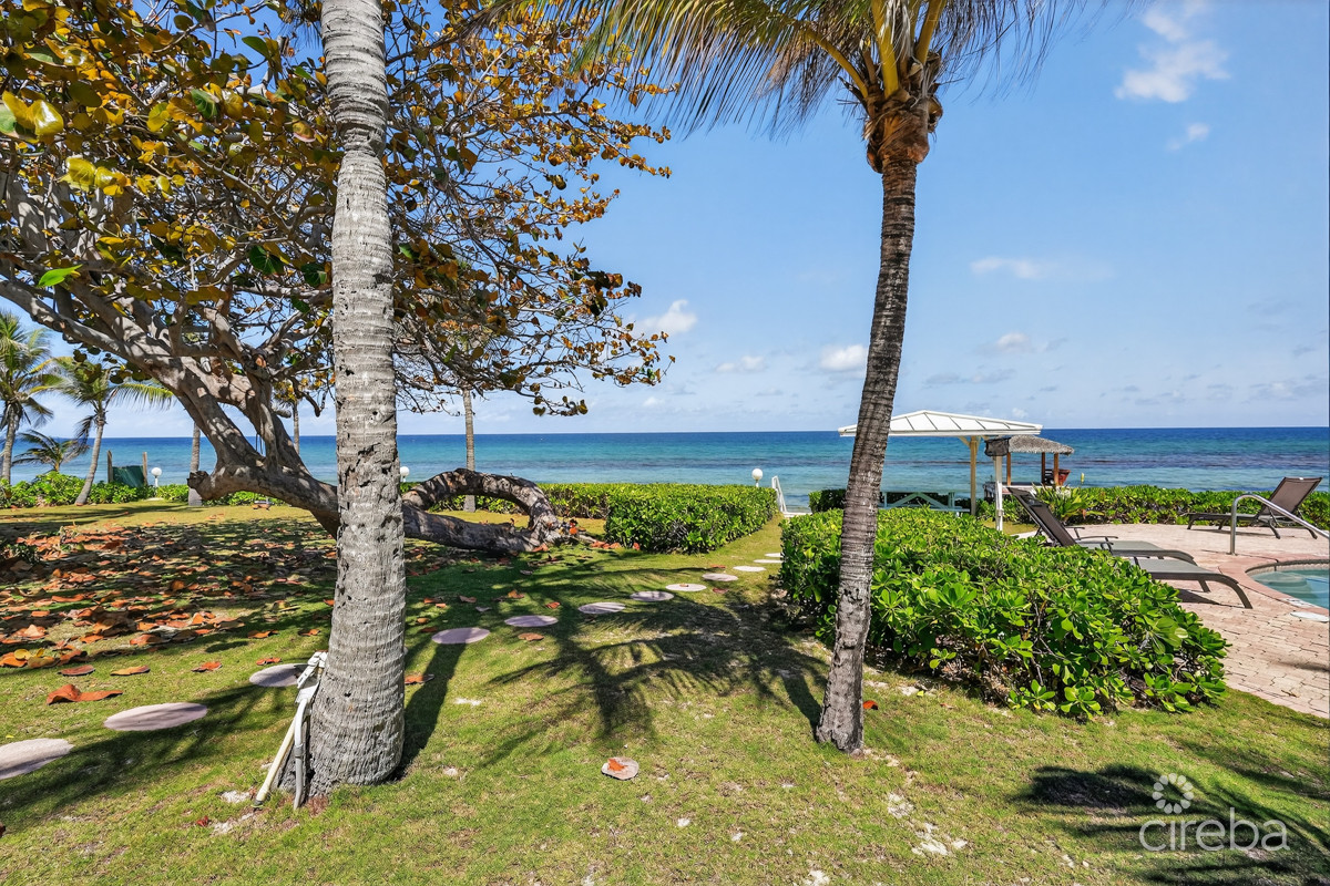 NORTHERN LIGHTS BEACHFRONT