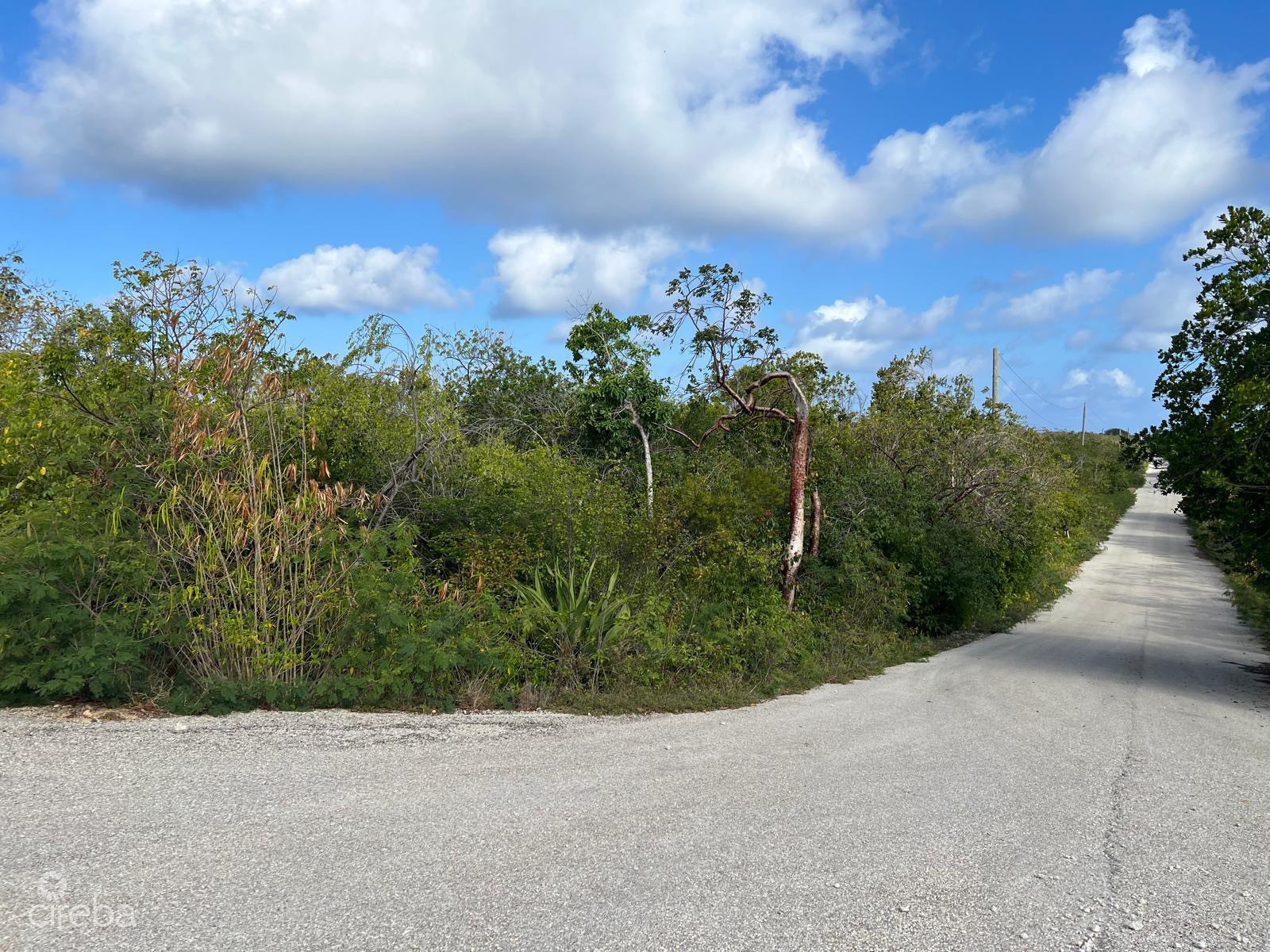 ORLEANS DRIVE BRAC PARCEL