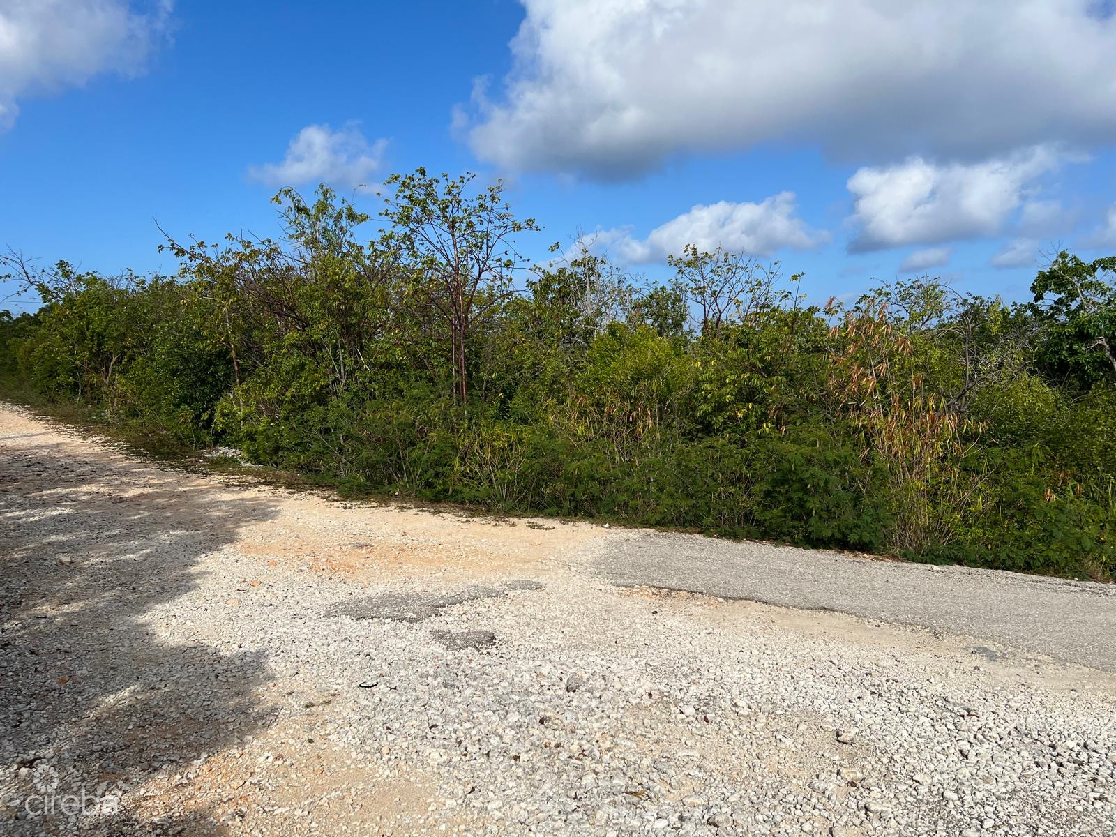 ORLEANS DRIVE BRAC PARCEL