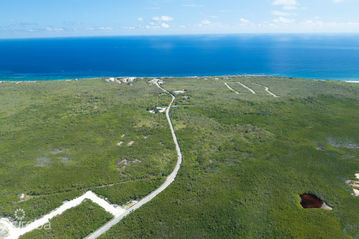 100 ACRES HIGH ROCK LAND