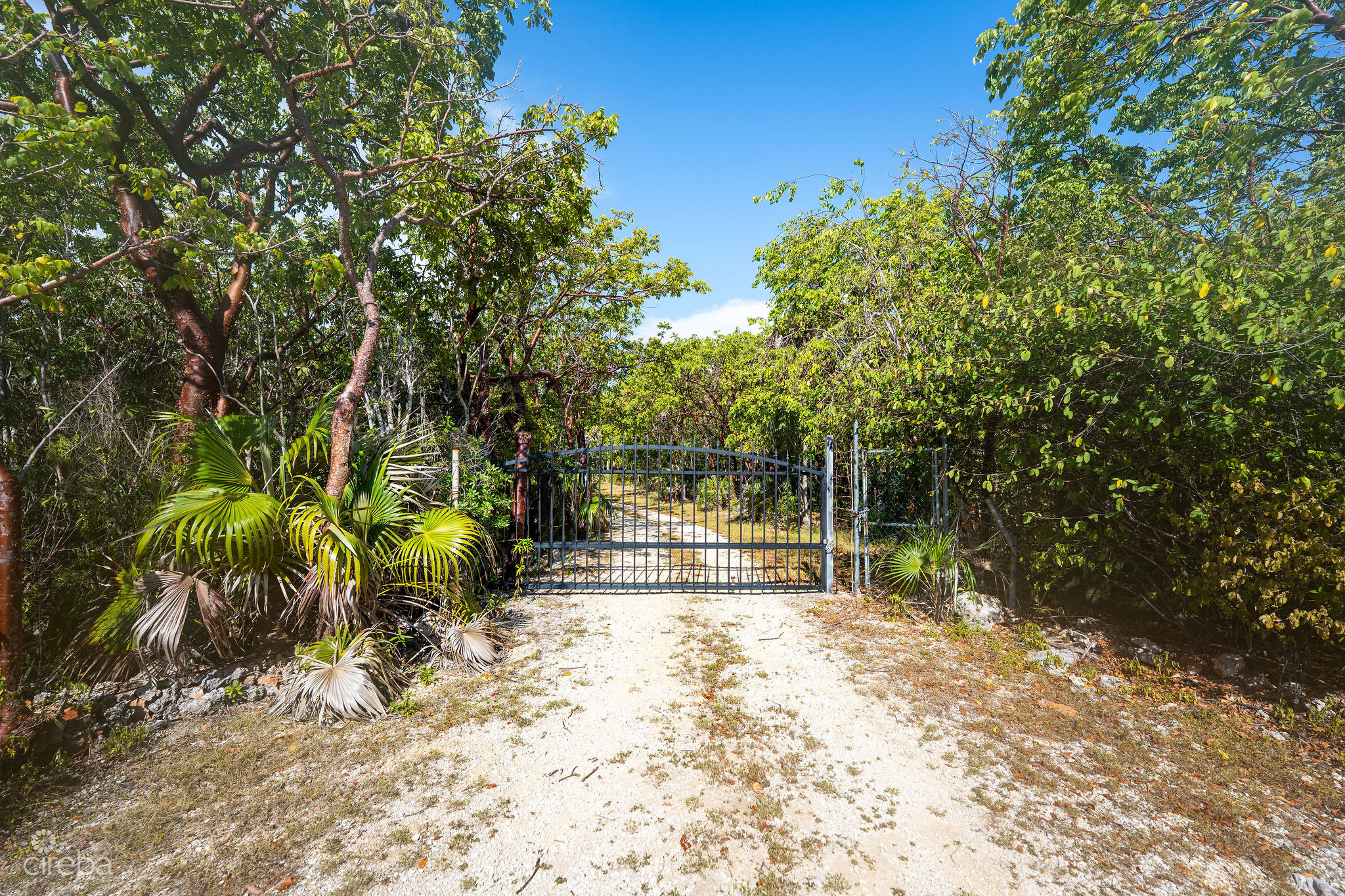 ELEVATED 11.43-ACRE PARCEL IN EAST END