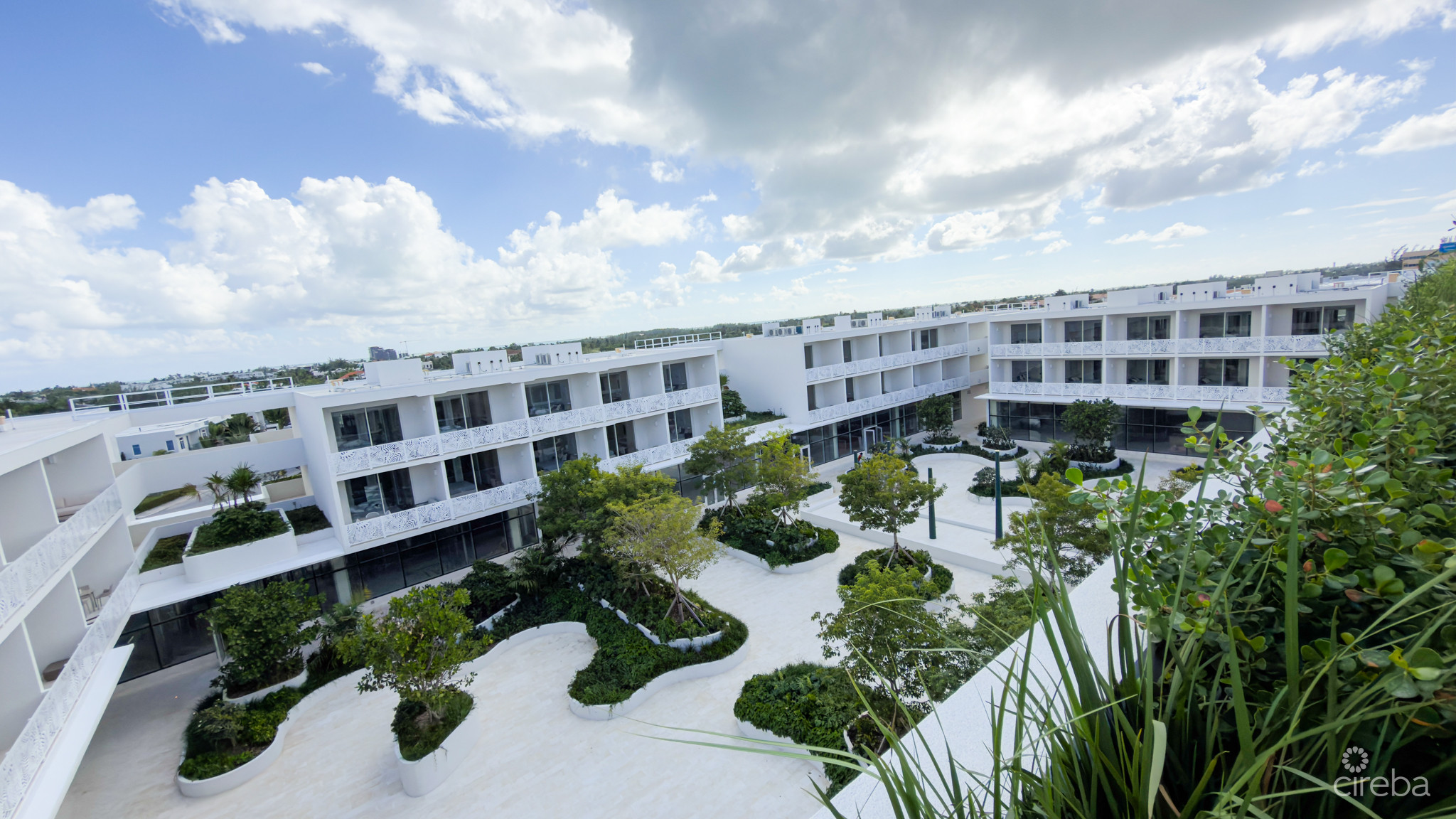 THE GROVE TOO #14 ONE BED CONDO