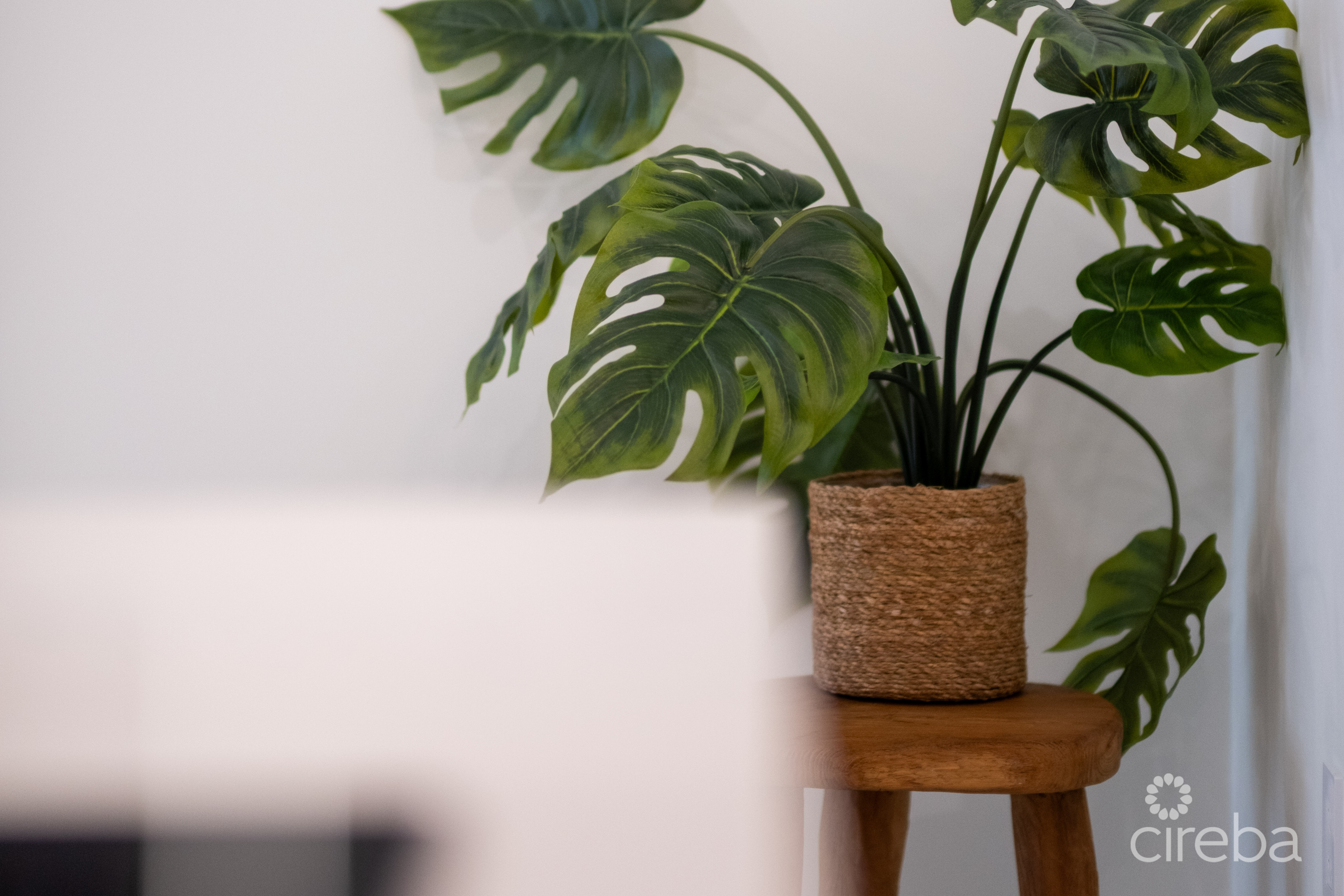 BRAND NEW ARZA  1B/1B – $20K CASH BACK AT CLOSING!