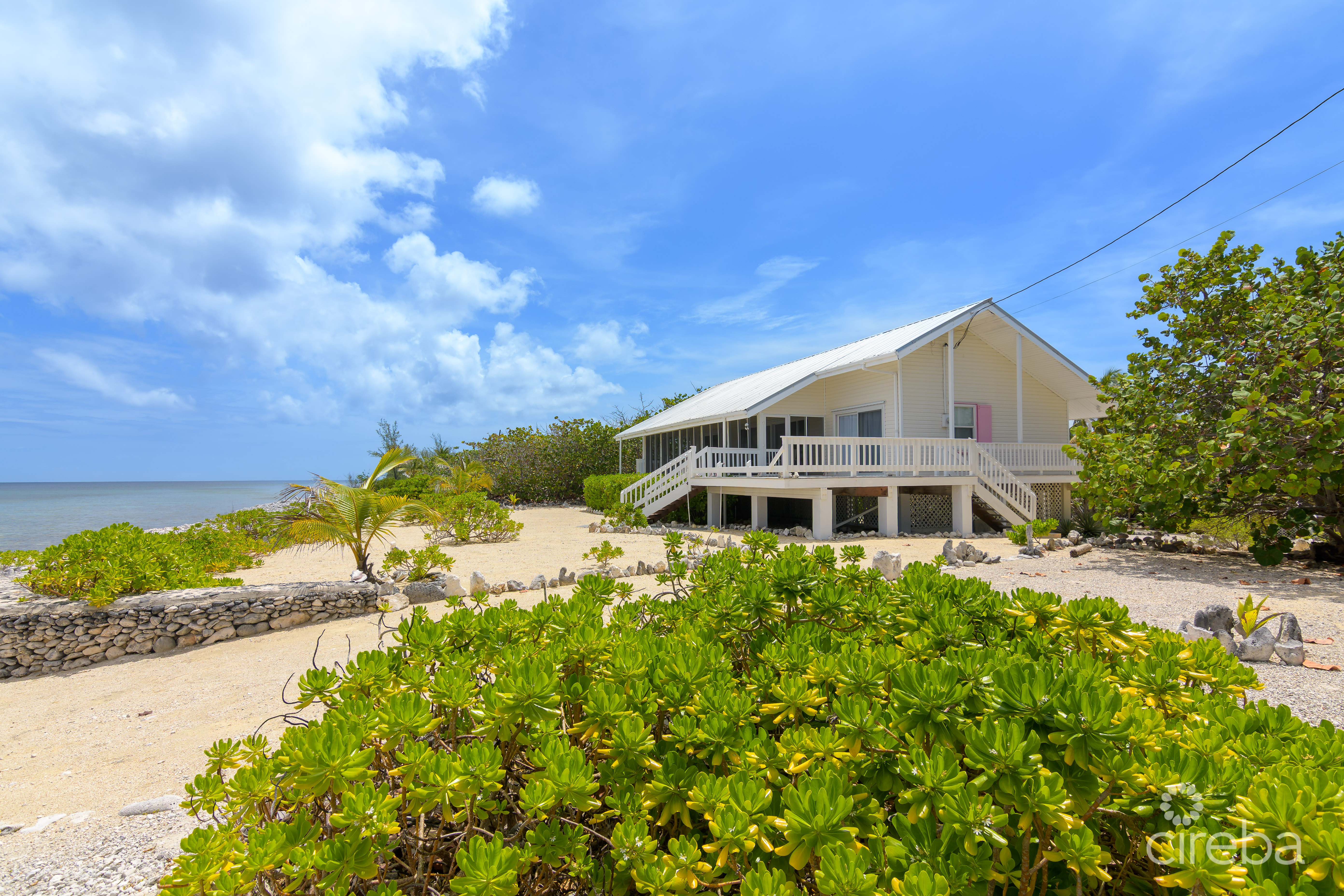 PALM BREEZES 8