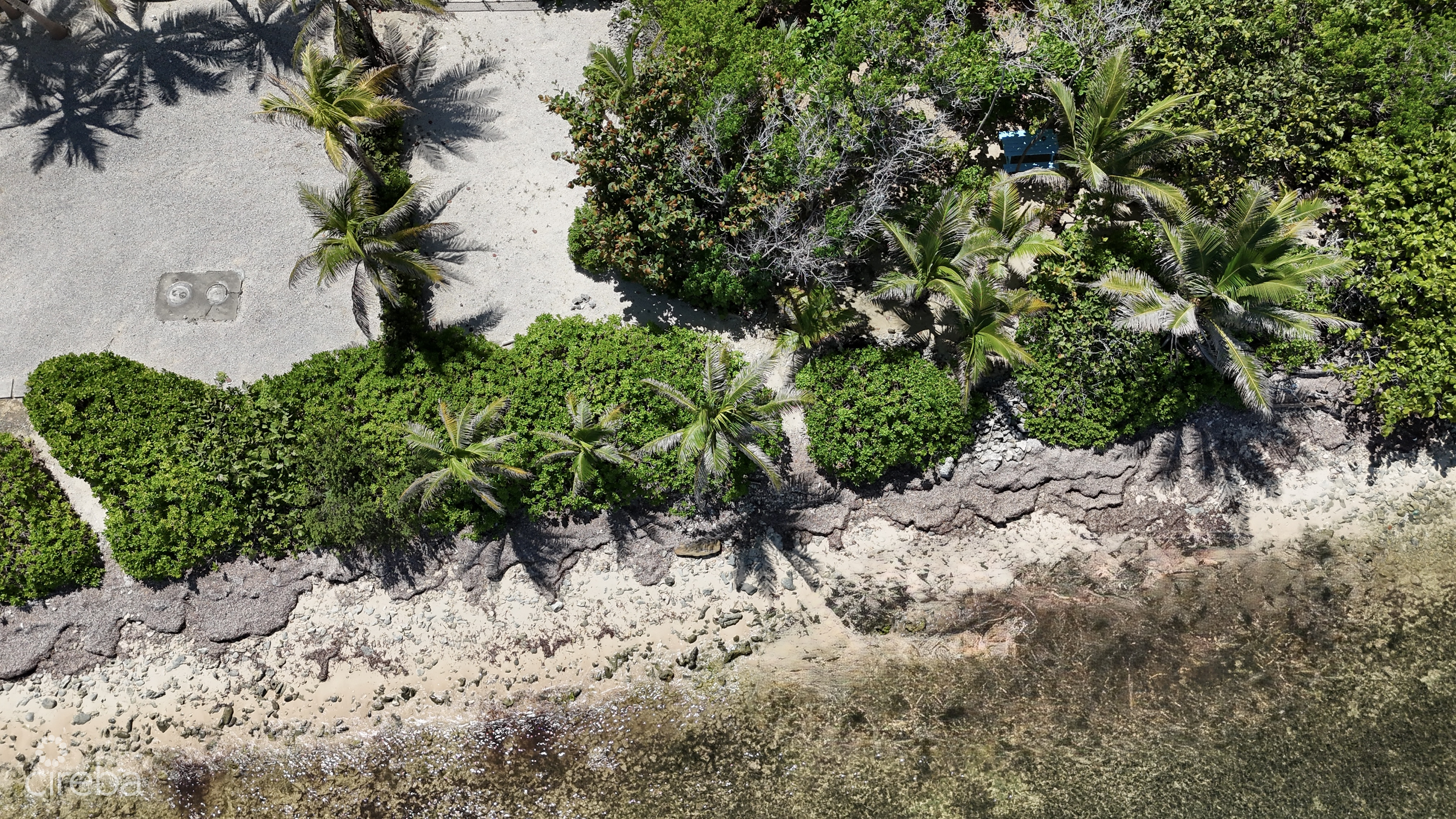 LARGE BEACHFRONT LOT - RUM POINT DRIVE - PERFECT ESTATE PARCEL
