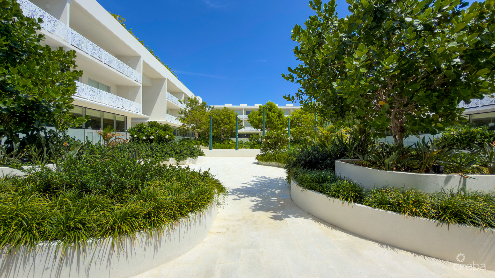 THE GROVE TOO – 1 BED CONDO