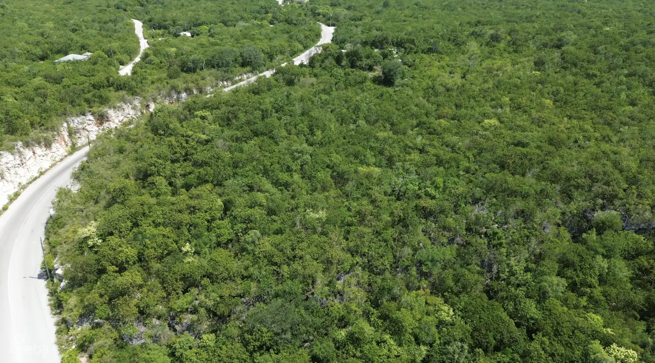 BLUFF EDGE AT THE CREEK
