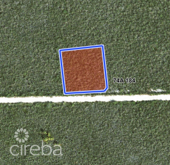 COLLIERS HOMESTEAD 1 ACRE 2