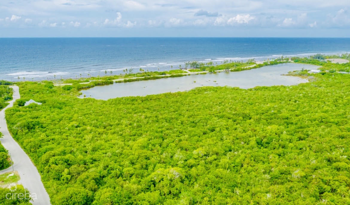 ALEXANDER GROVE SUBDIVISION - CAYMAN BRAC - POND LOT 2 3