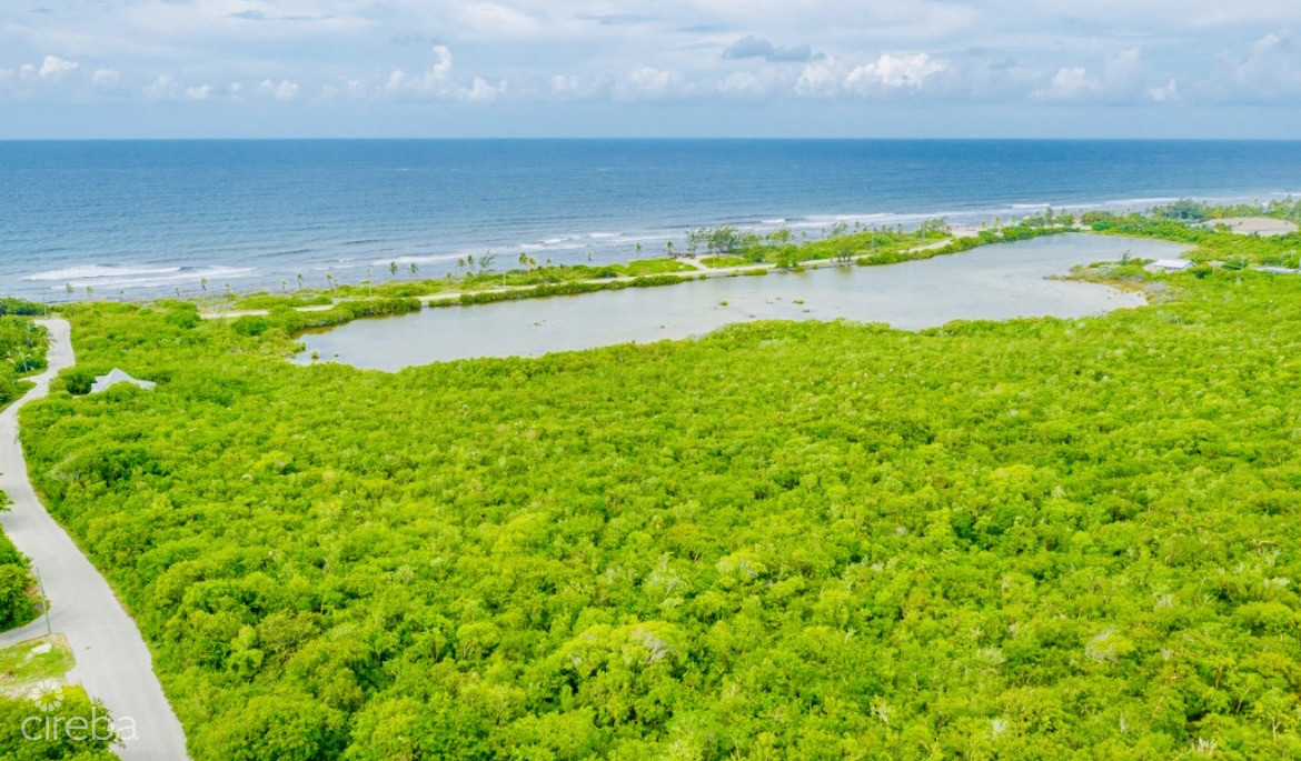 ALEXANDER GROVE SUBDIVISION - CAYMAN BRAC - POND LOT 4 3