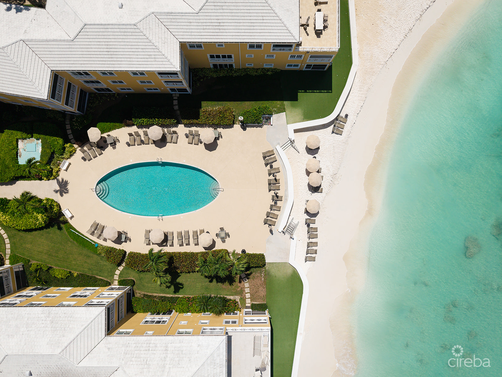 REGAL BEACH CLUB #124